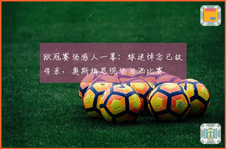 欧冠赛场感人一幕：球迷悼念已故母亲，奥斯梅恩现场泪洒比赛
